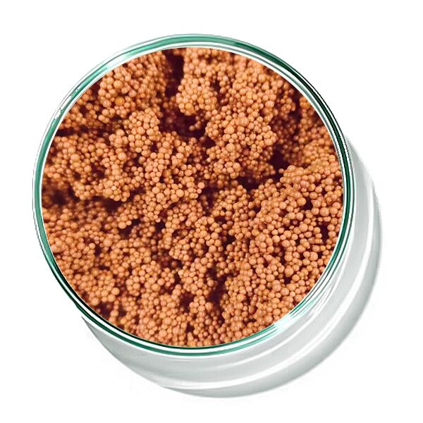 Биохимическая обработка воды хвостовой красно-коричневой деколорирующей смолы для адсорбции